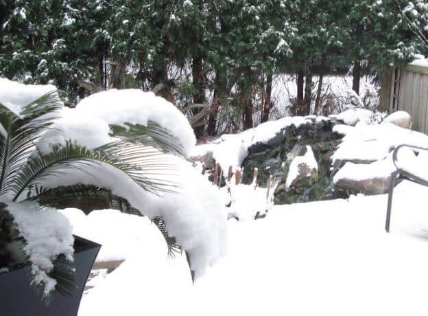 snowy yard